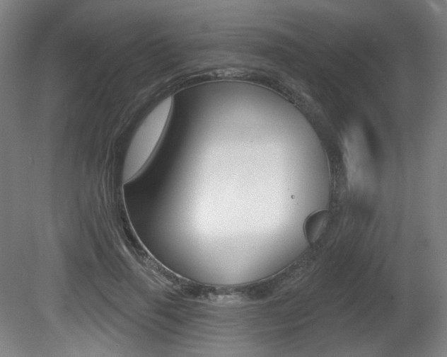X0000080740645200612150933
