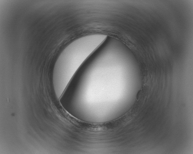 X0000080740646200612150933