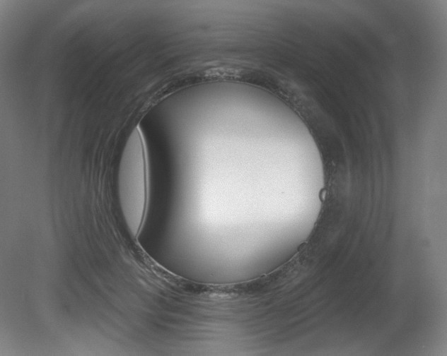X0000080740649200612150933