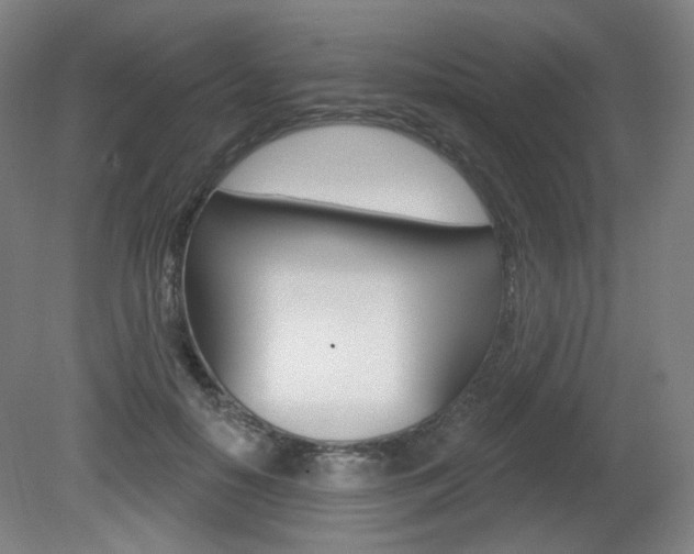 X0000080740650200612150933