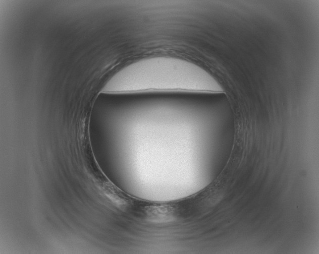 X0000080740652200612150933