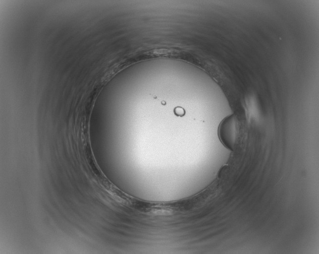 X0000080740653200612150933