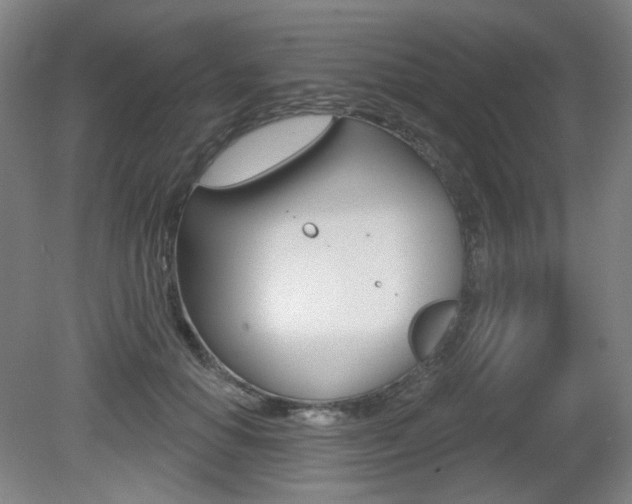 X0000080740654200612150933