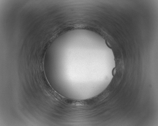 X0000080740655200612150933