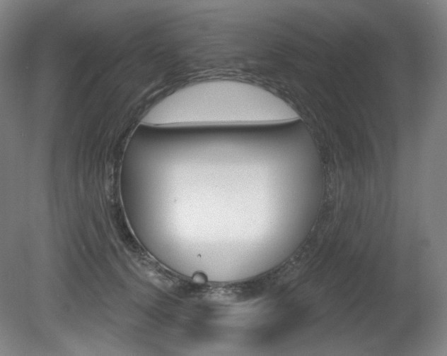 X0000080740656200612150933