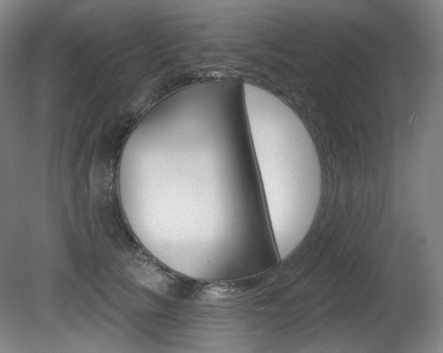 X0000080740657200612150933