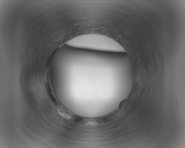 X0000080740658200612150933