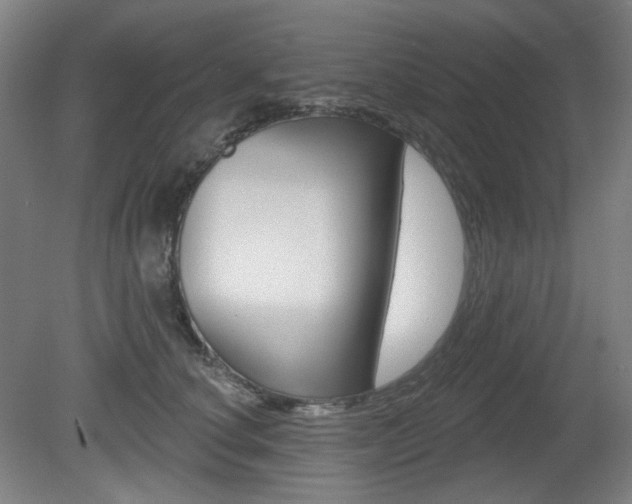 X0000080740660200612150933