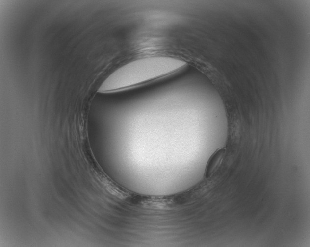 X0000080740661200612150933
