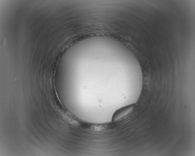 X0000080740662200612150933