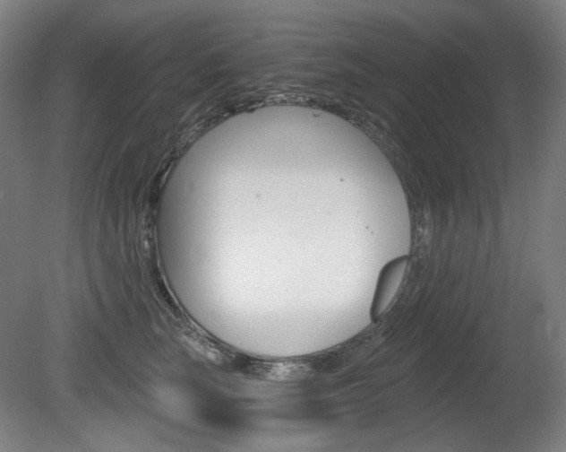 X0000080740663200612150933