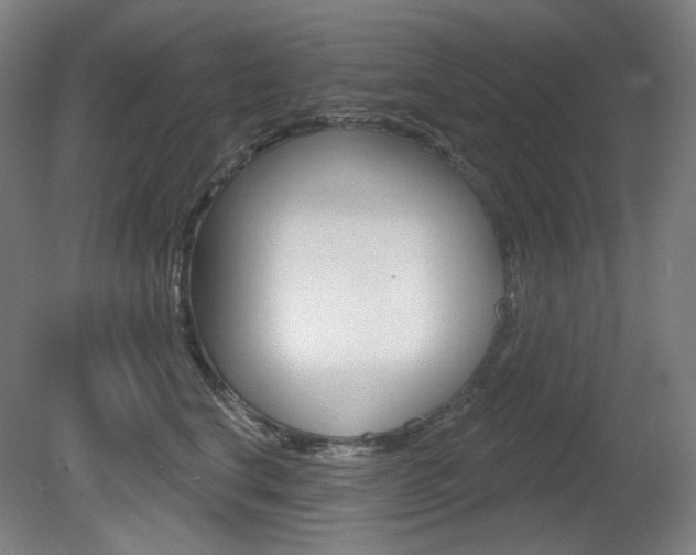 X0000080740664200612150933