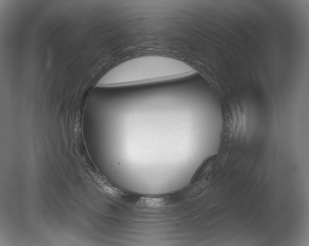 X0000080740665200612150933