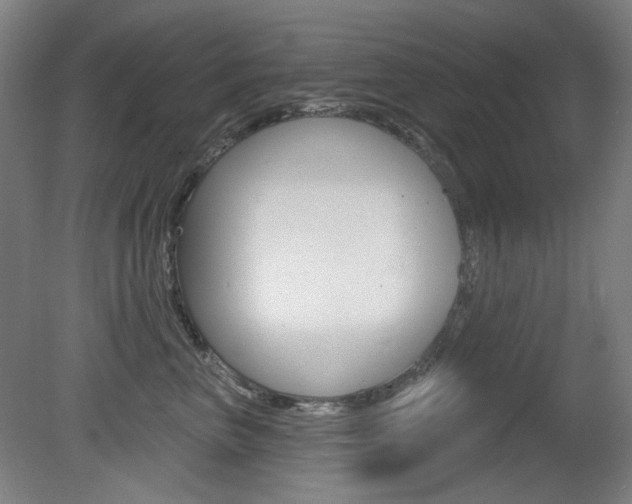 X0000080740667200612150933