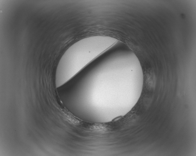 X0000080740668200612150933