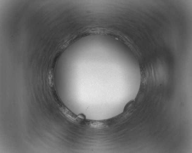 X0000080740669200612150933