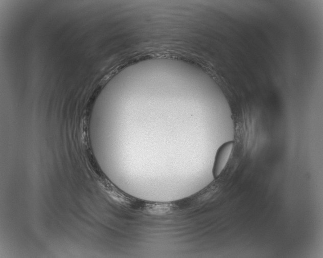 X0000080740671200612150933