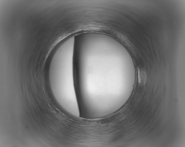 X0000080740675200612150933