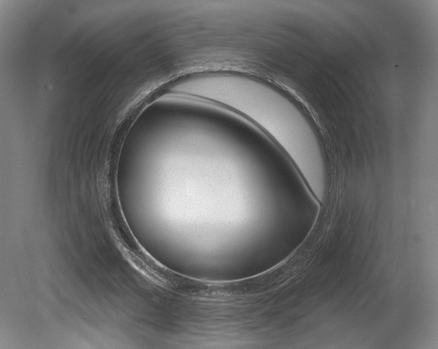 X0000080740677200612150933