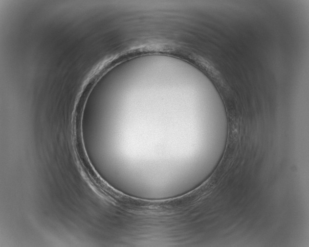 X0000080740678200612150933