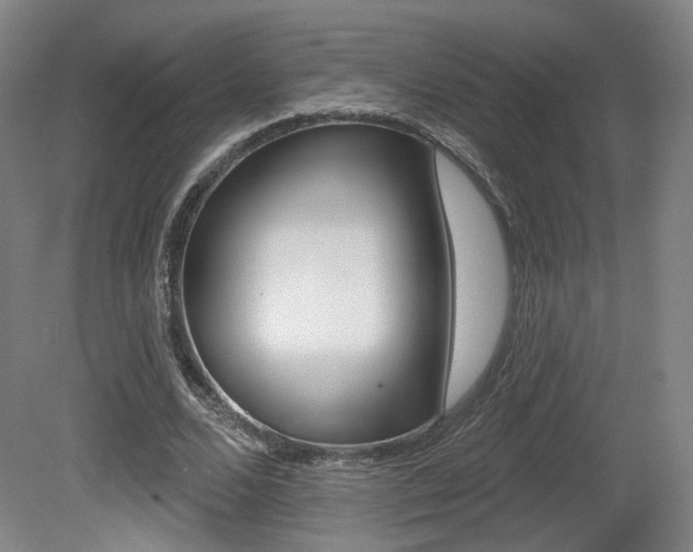 X0000080740680200612150932