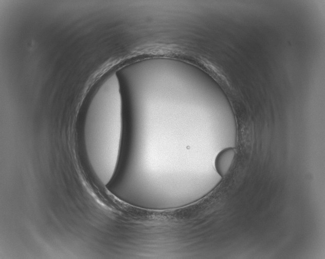 X0000080740682200612150932