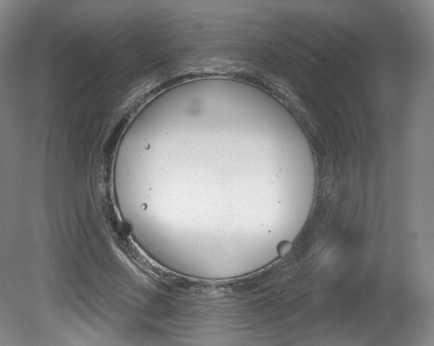 X0000080740683200612150932