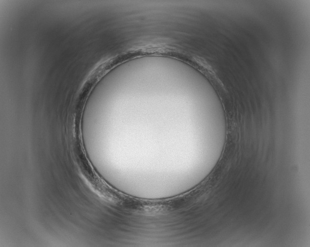 X0000080740686200612150932