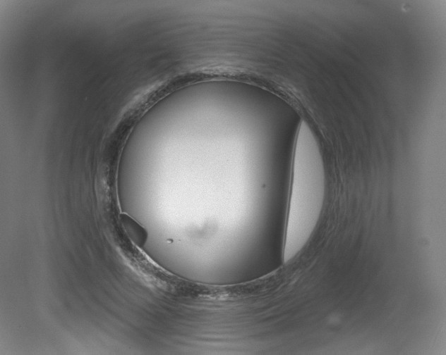 X0000080740688200612150932
