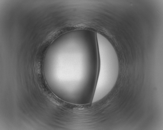 X0000080740689200612150932