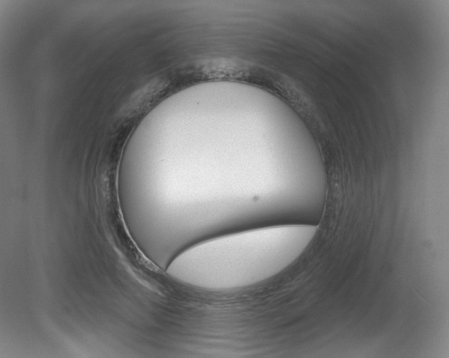 X0000080740690200612150932