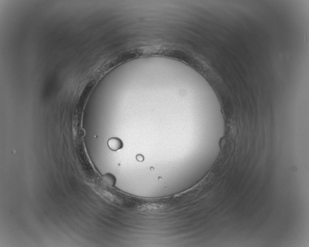 X0000080740691200612150932