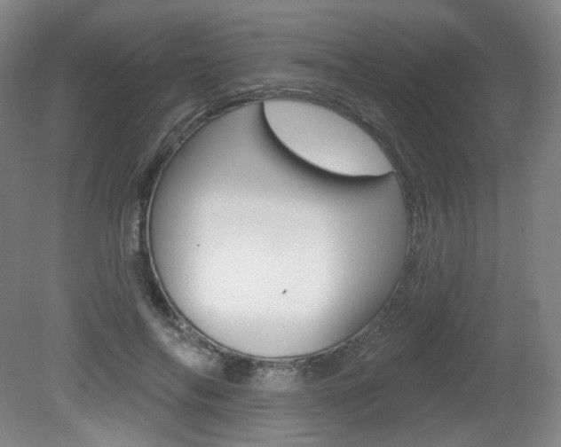X0000080740694200612150932