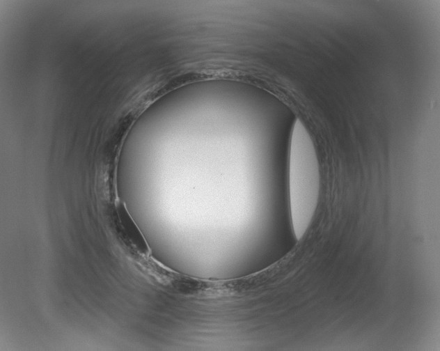 X0000080740696200612150932