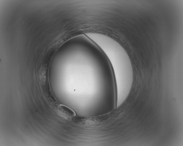 X0000080740697200612150932