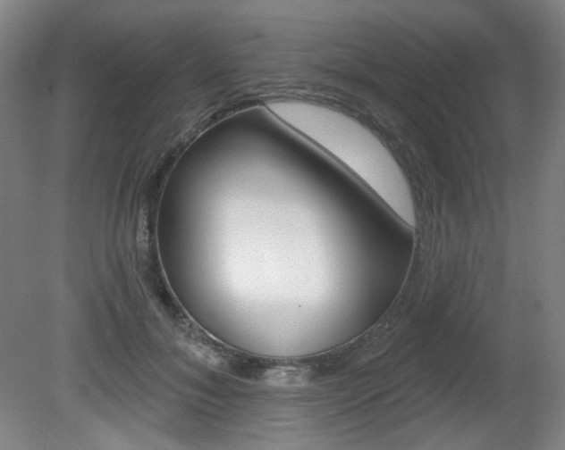 X0000080740700200612150932