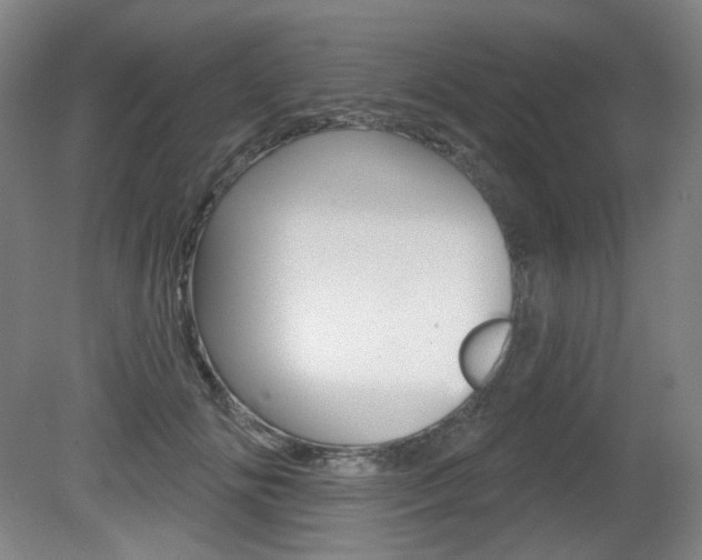 X0000080740702200612150932
