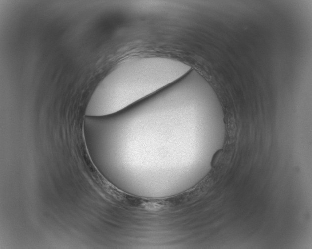 X0000080740703200612150932