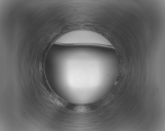 X0000080740704200612150932