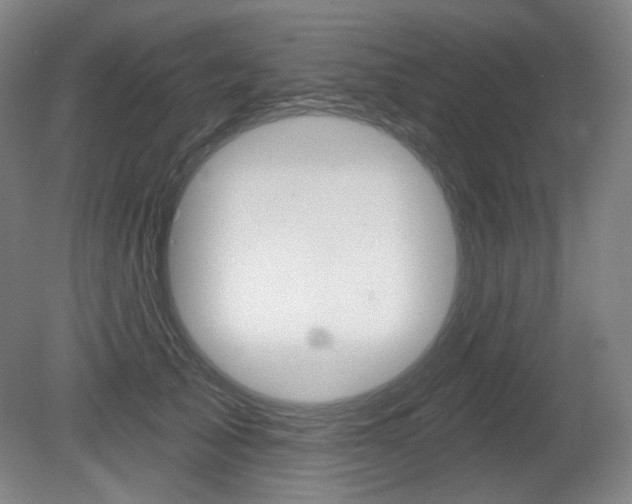 X0000080740705200612150932