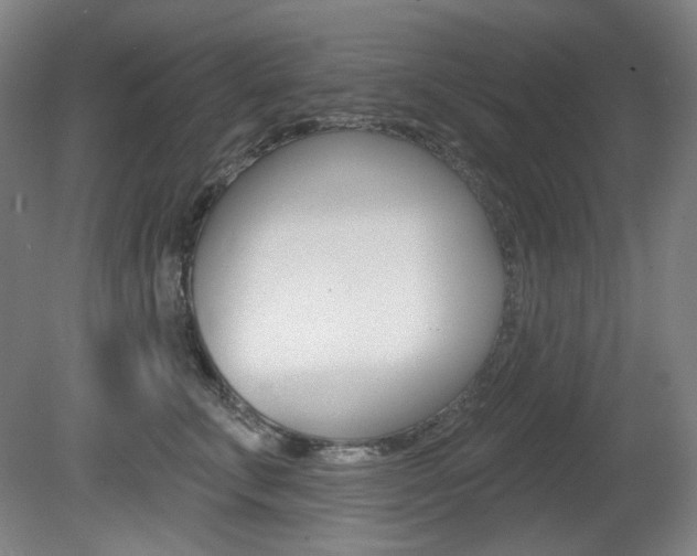 X0000080740711200612150932