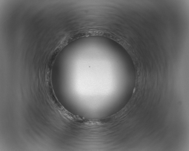 X0000080740712200612150932