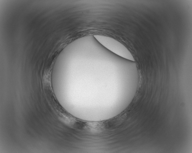 X0000080740713200612150932