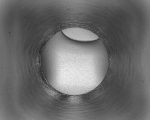 X0000080740714200612150932