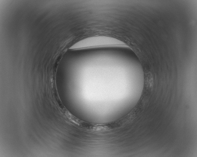 X0000080740716200612150932