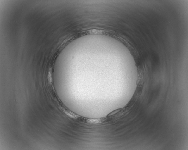 X0000080740717200612150932