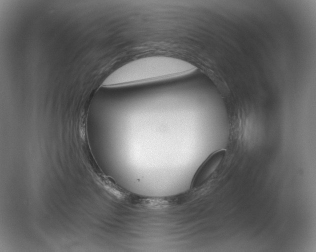 X0000080740719200612150932