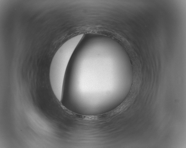 X0000080740720200612150932