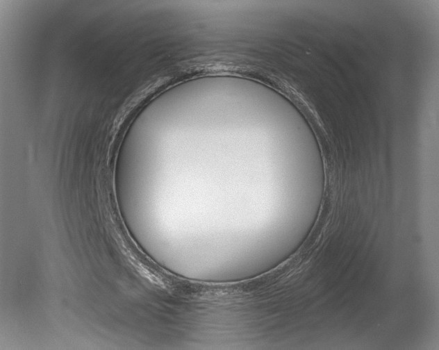 X0000080740721200612150931