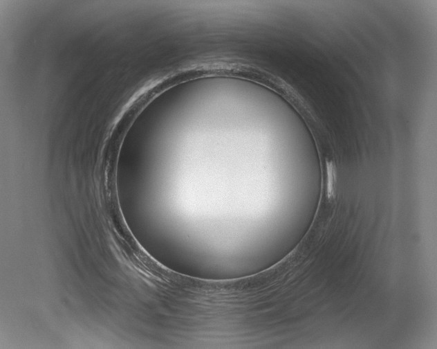 X0000080740723200612150931